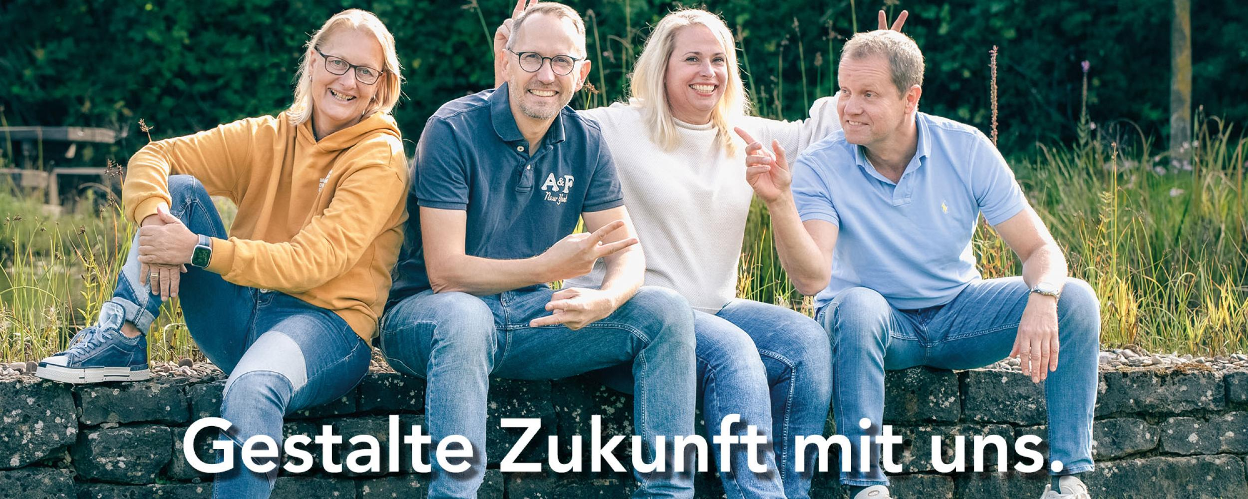 Erp Consultant