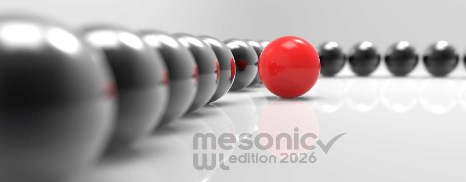 Meso Logo 2026